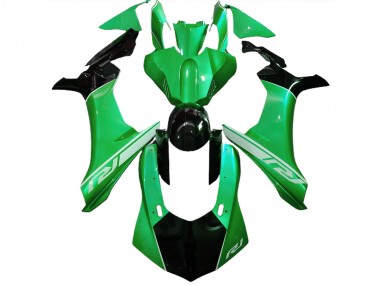 15-19 Lézard Vert & Noir R1 Carénage Moto