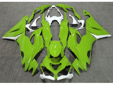 19-23 Vert Brillant & Blanc ZX6R Carénage Moto